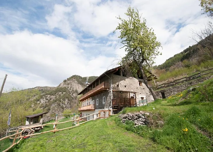 La Cascina D'orleans *